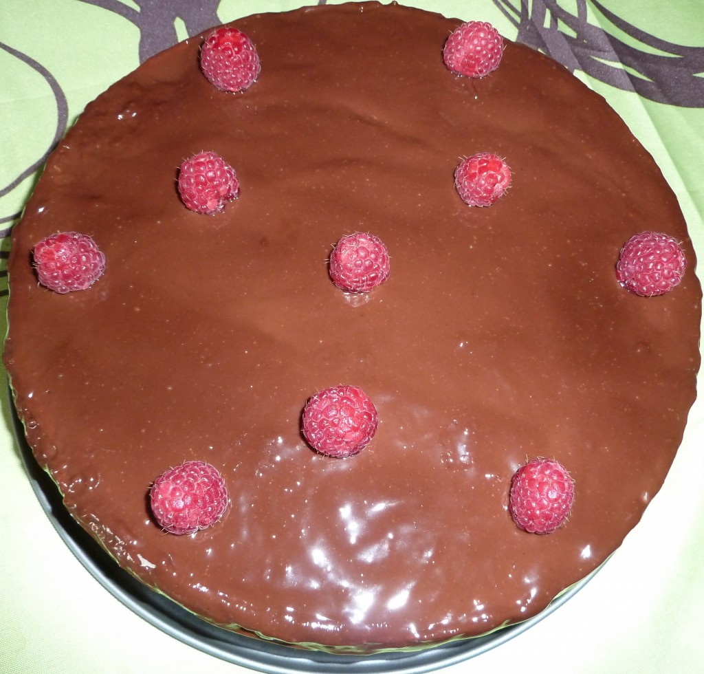 Gâteau chocolat-framboises – Ça turbine en cuisine